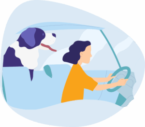 Dog behind the woman driving illustration.