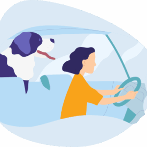 Dog behind the woman driving illustration.